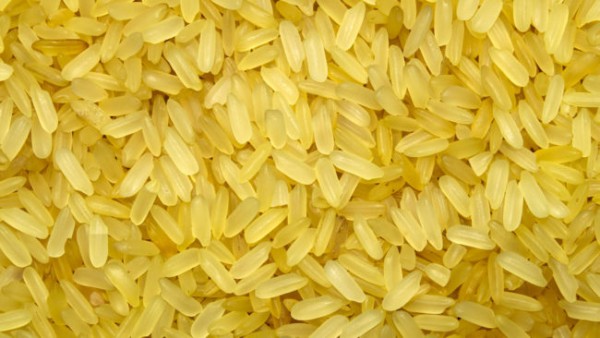 GMO crops aren’t doing what they claim: Gold Rice project fails on its promises to fight Third World hunger